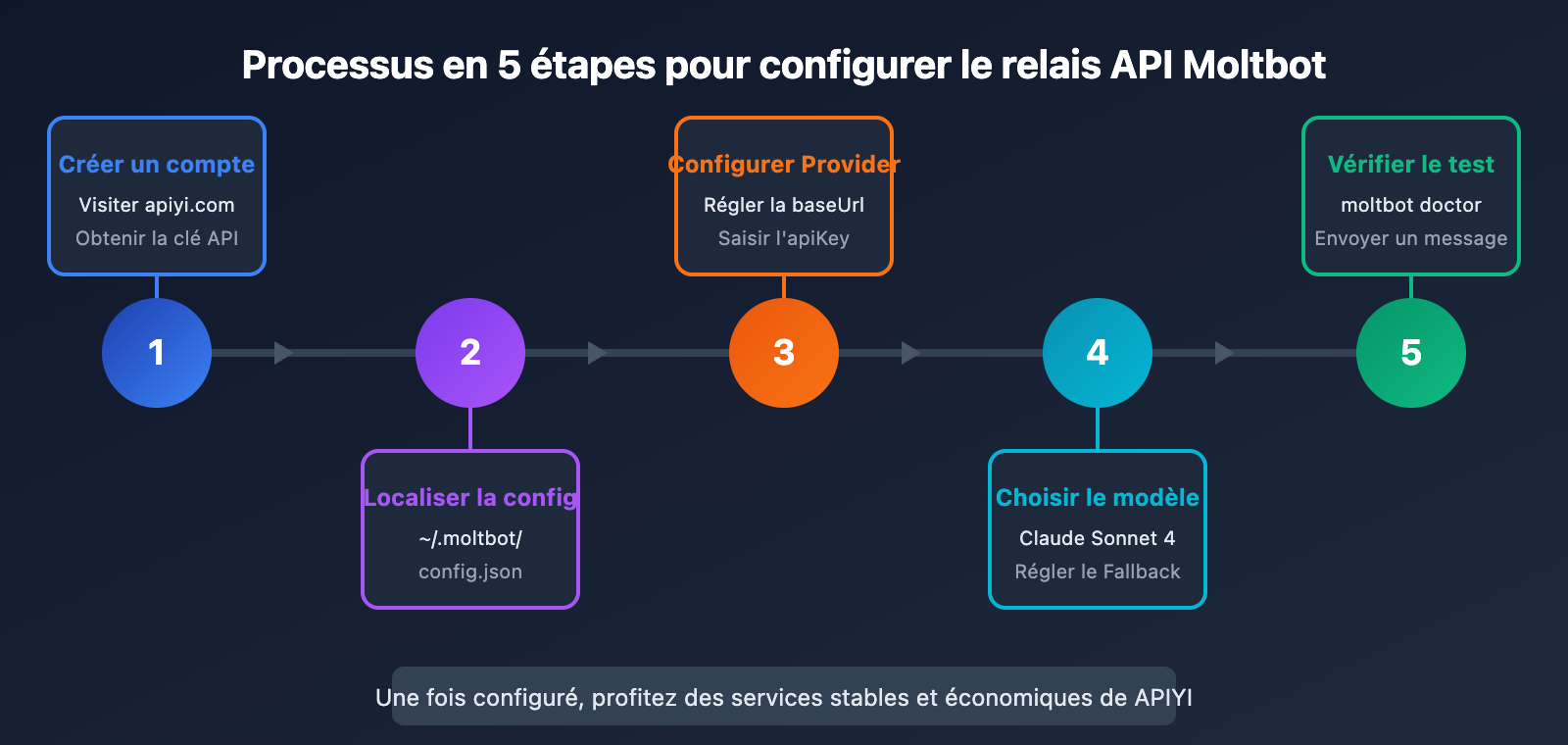moltbot-api-proxy-configuration-tutorial-fr 图示