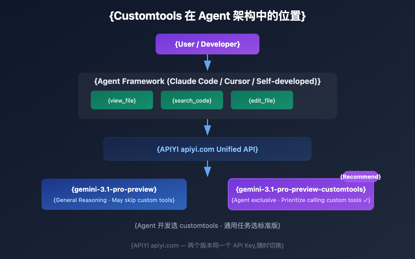 gemini-3-1-pro-preview-customtools-agent-guide-en 图示