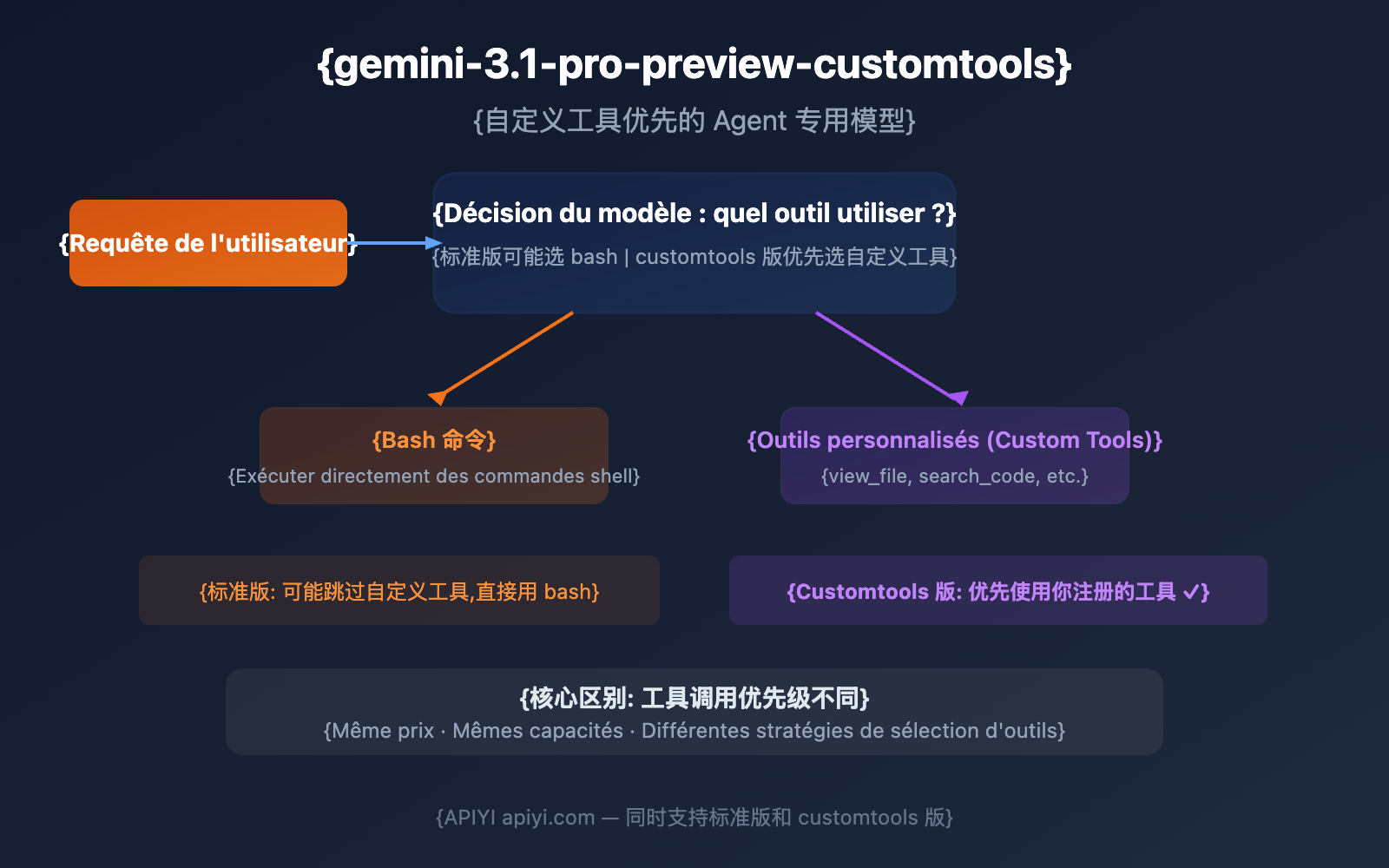 gemini-3-1-pro-preview-customtools-agent-guide-fr 图示