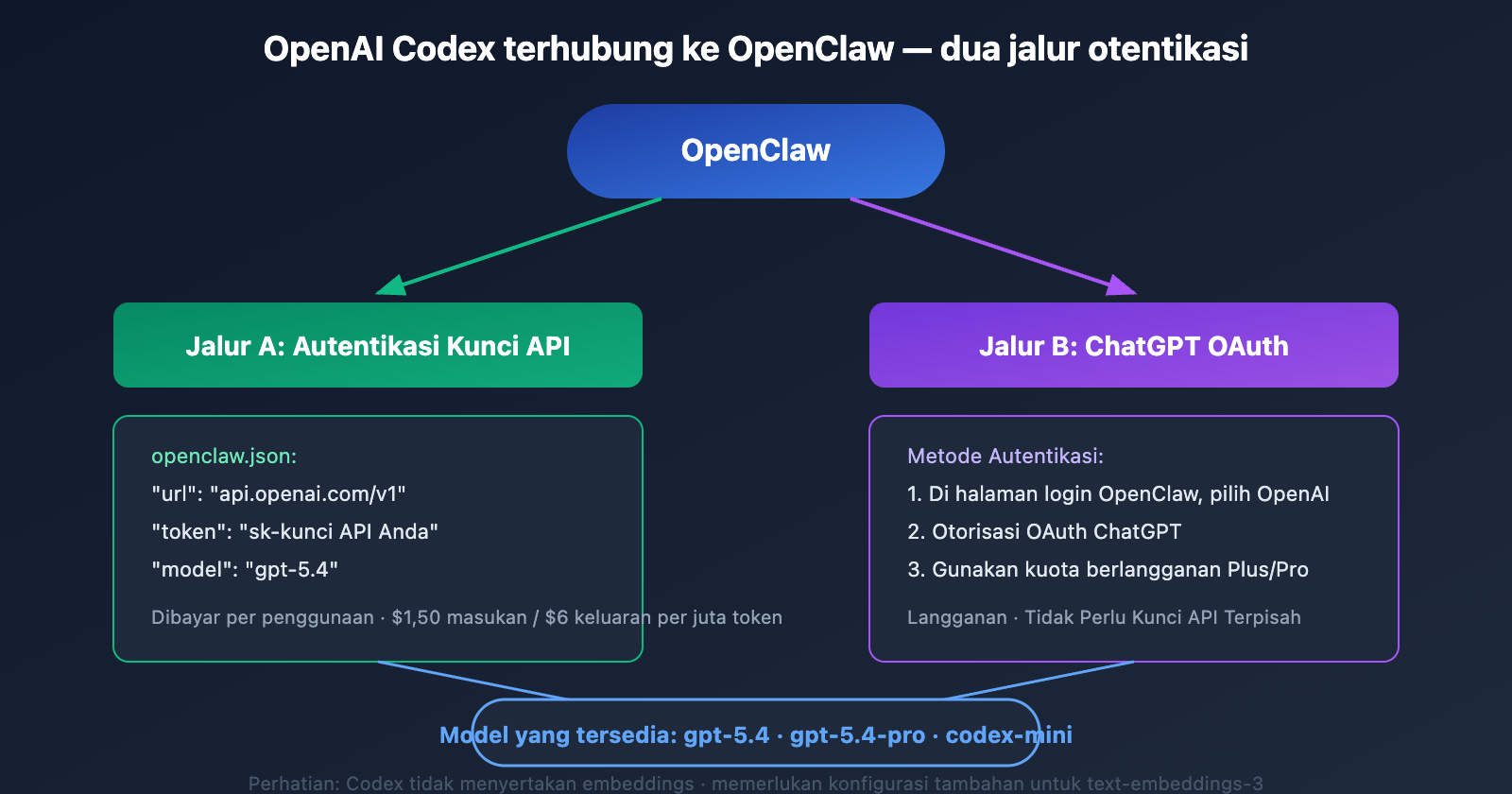 coding-plan-api-restrictions-openai-codex-exception-id 图示