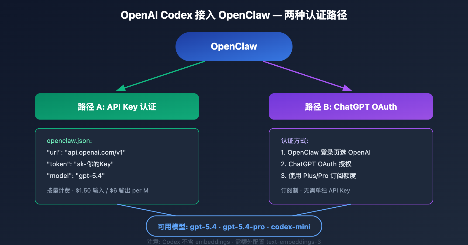 coding-plan-api-restrictions-openai-codex-exception 图示