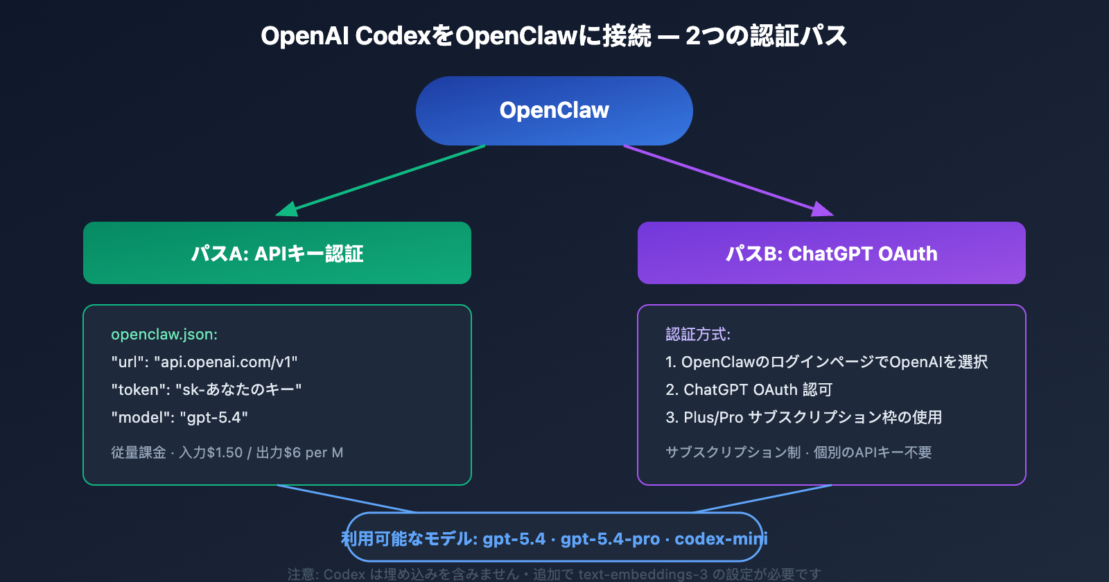 coding-plan-api-restrictions-openai-codex-exception-ja 图示