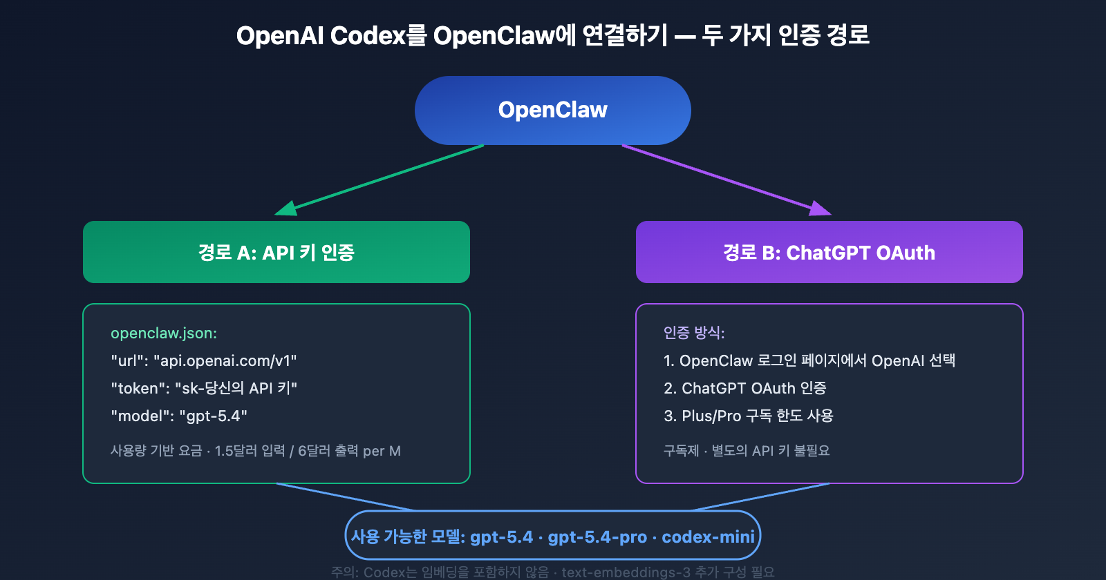 coding-plan-api-restrictions-openai-codex-exception-ko 图示
