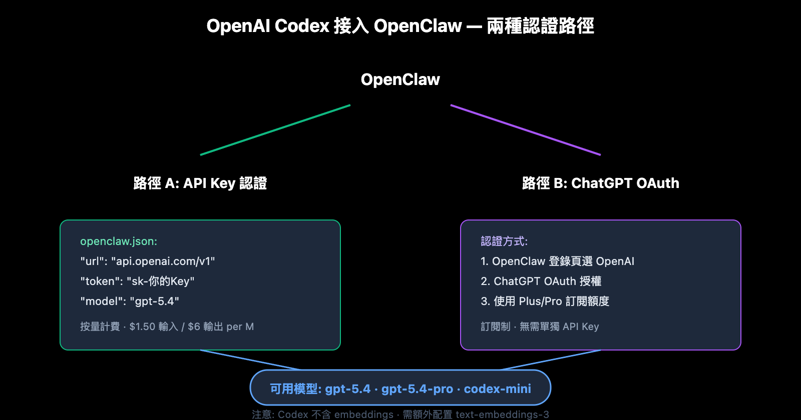 coding-plan-api-restrictions-openai-codex-exception-zh-hant 图示
