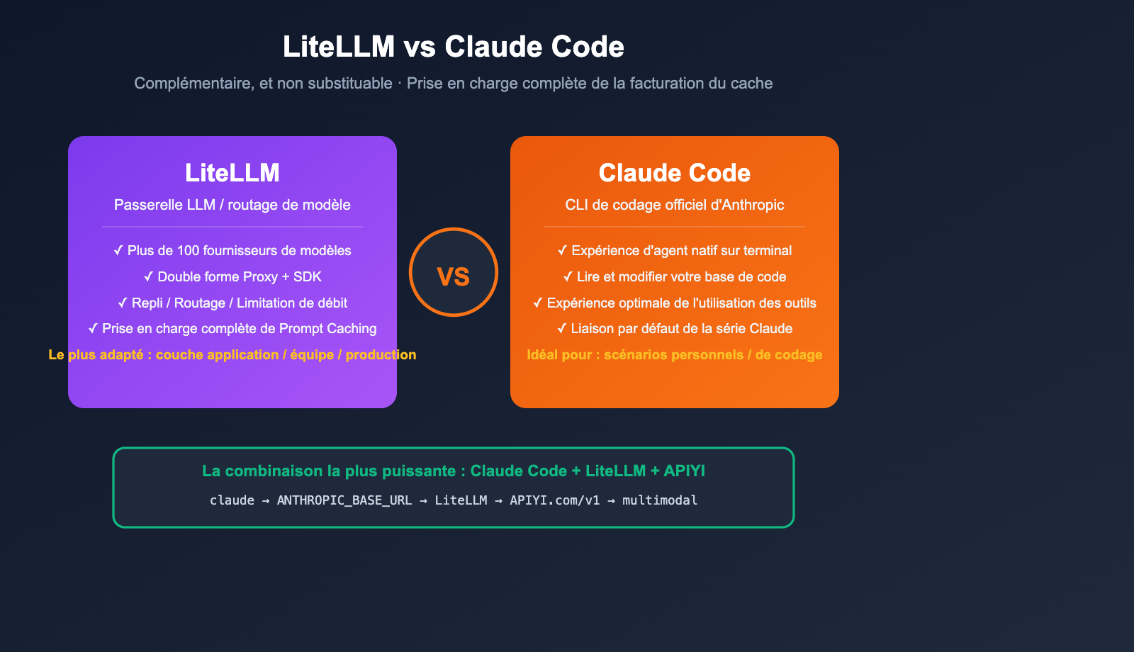 litellm-vs-claude-code-comparison-prompt-caching-guide-fr 图示
